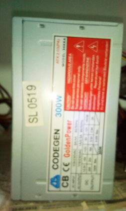 Codegen 300W